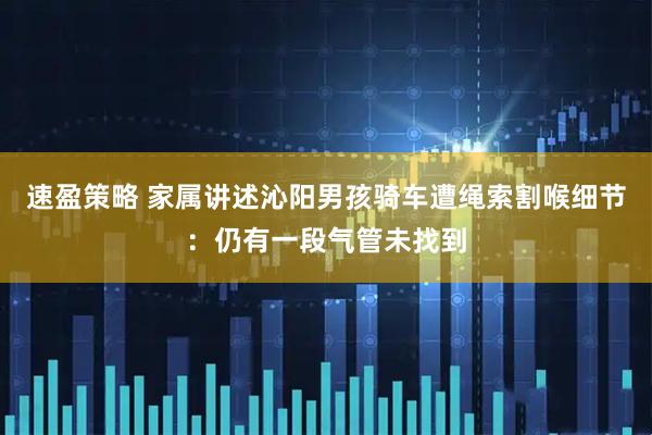 速盈策略 家属讲述沁阳男孩骑车遭绳索割喉细节：仍有一段气管未找到